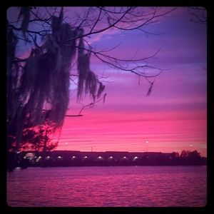 Meet your Posher, Tara